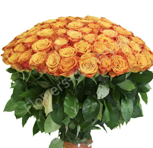 Букет из 101 оранжевой розы циркус купить с доставкой по Москве