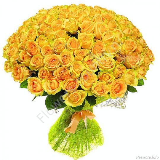 Букет из 101 желтой розы купить с доставкой по Москве