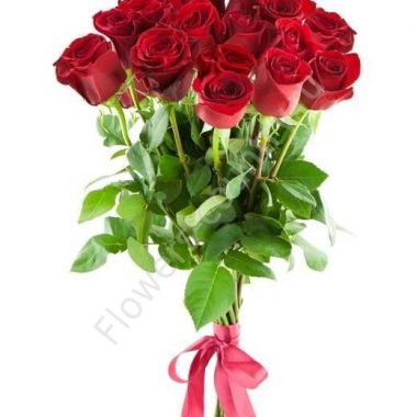 Букет 15 красных роз