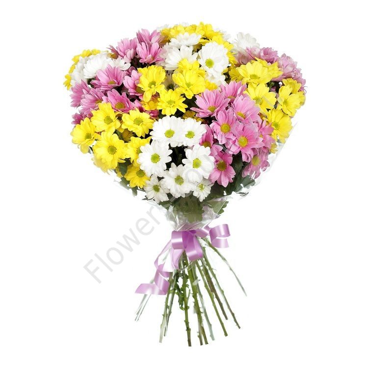 Букет белых, желтых и розовых хризантем купить с доставкой по Москве