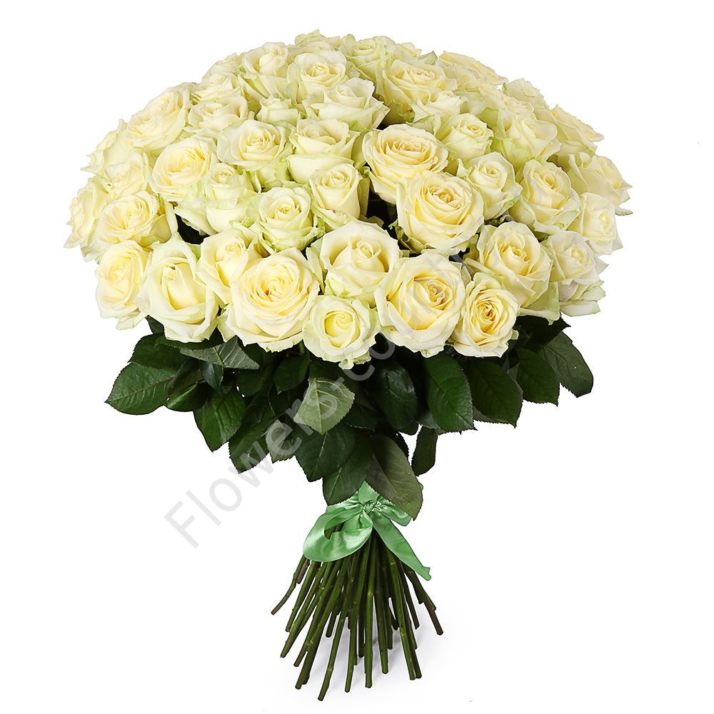 Букет из 51 белой розы купить с доставкой по Москве