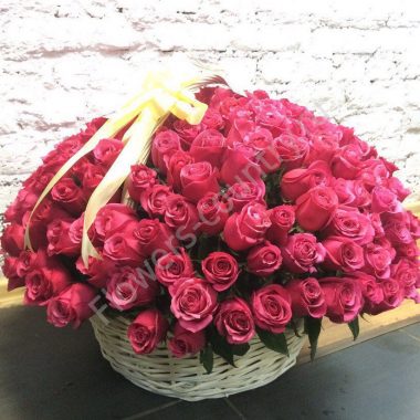 Букет 201 пурпурной розы в корзине