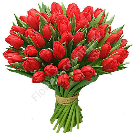 Букет из красных тюльпанов - 49 шт. купить с доставкой по Москве