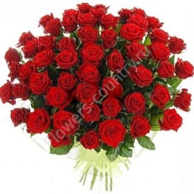 Букет из 55 алых роз купить с доставкой по Москве
