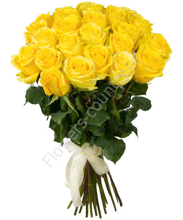 Букет из 25 желтых роз купить с доставкой по Москве