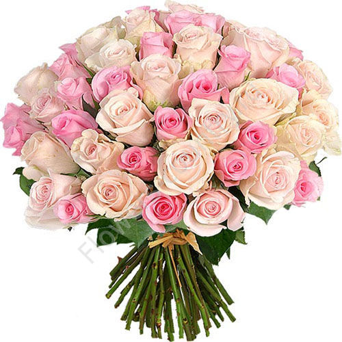 Букет из 51 розовых и кремовых роз купить с доставкой по Москве