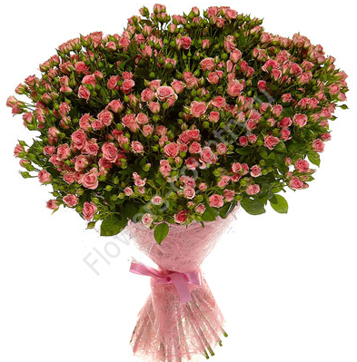 Букет из 51 кустовой розы розовой купить с доставкой по Москве