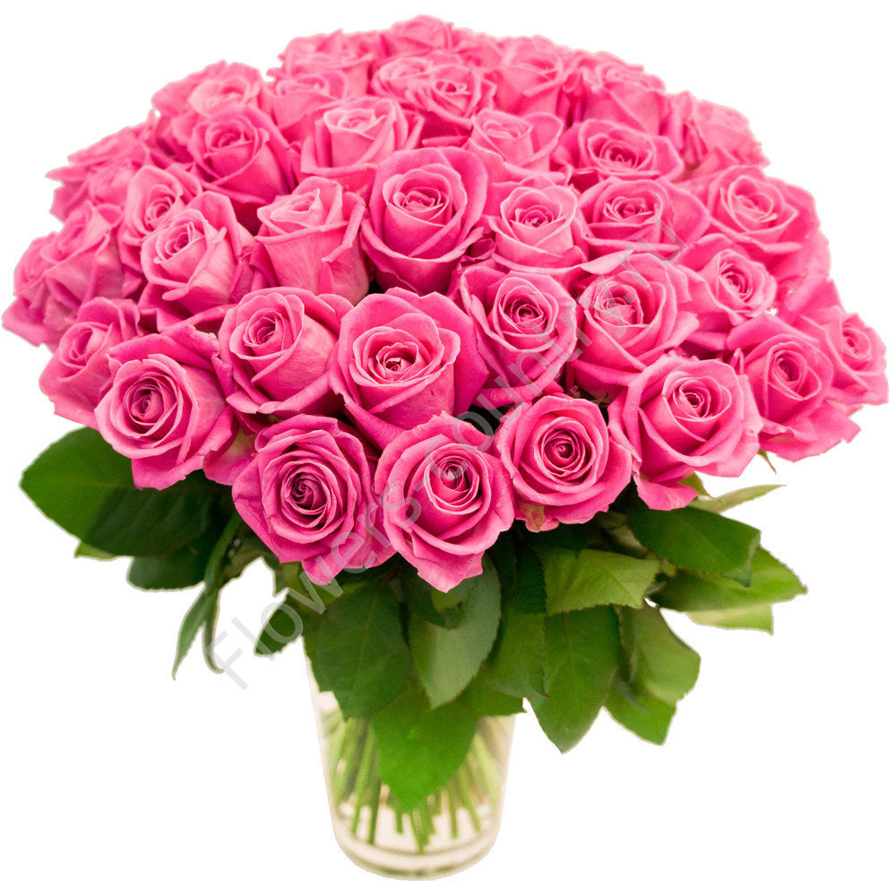 Букет с 55 розовыми розами купить с доставкой по Москве
