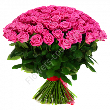 Букет из 75 розовых роз купить с доставкой по Москве