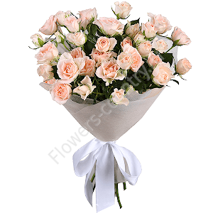 Букет из 7 кустовых роз купить с доставкой по Москве