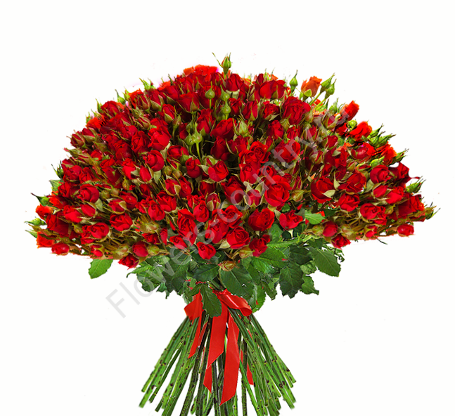 Букет из кустовой красной розы купить с доставкой по Москве