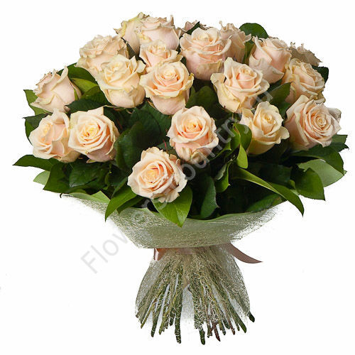 Букет из 25 кремовых роз купить с доставкой по Москве