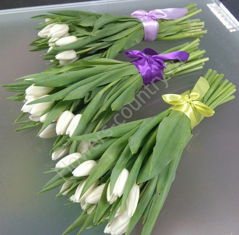 Букет из тюльпанов белых купить с доставкой по Москве