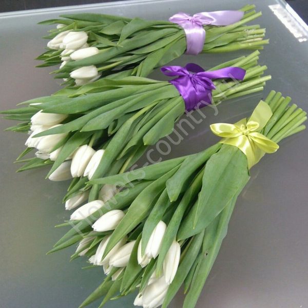 Букет из 15 белых тюльпанов купить с доставкой по Москве