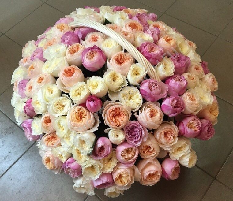 Букет из 101 пионовидной розы в корзине «Нежное утро» купить с доставкой по Москве