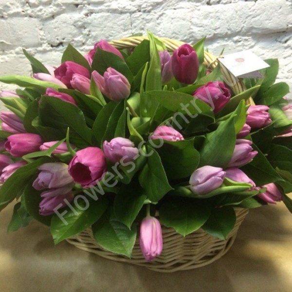 Корзина из тюльпанов фиолетовых купить с доставкой по Москве