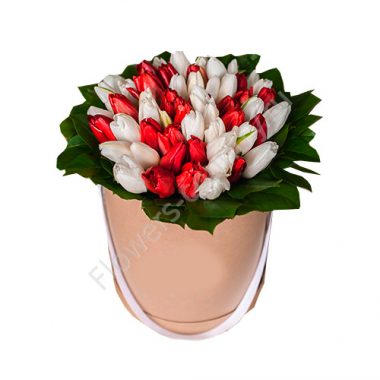 Букет из белых и красных тюльпанов купить с доставкой по Москве