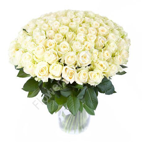 Букет из 101 белой розы купить с доставкой по Москве