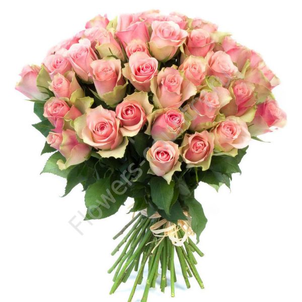 Букет из 51 розы «Малибу» купить с доставкой по Москве