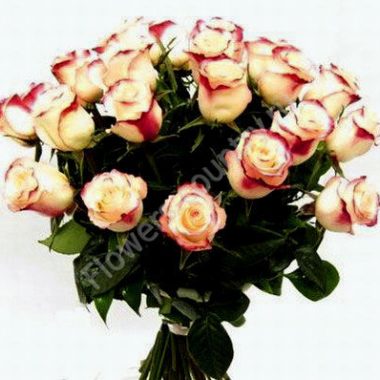 Букет из красно-белых роз «Свитнесс» купить с доставкой по Москве