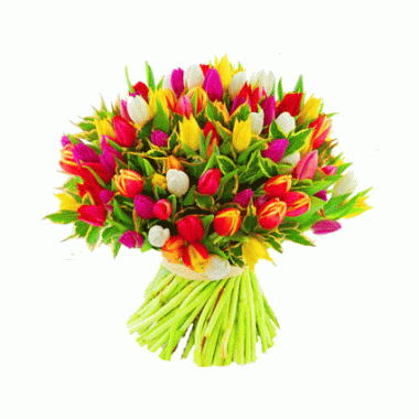 Букет из разноцветных тюльпанов - 101 шт. купить с доставкой по Москве