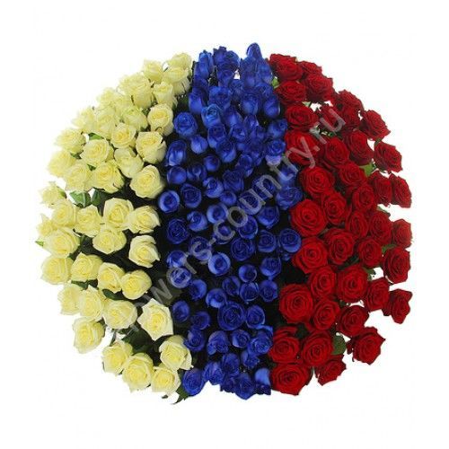 Букет из синих белых и красных роз «Флаг России» купить с доставкой по Москве