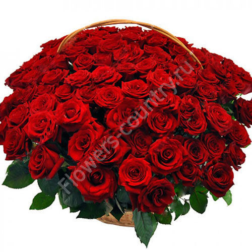Корзина из 101 красной розы купить с доставкой по Москве