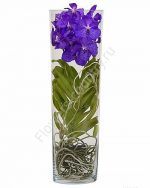 Орхидея ванда в вазе купить с доставкой по Москве