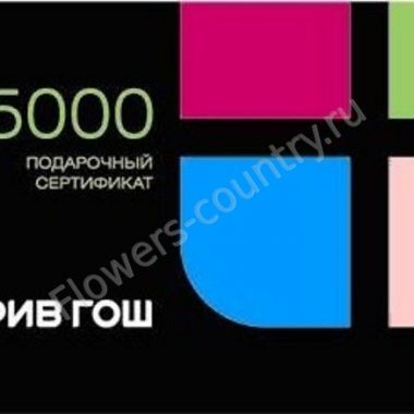 Подарочная карта рив гош на 5 000 руб. купить с доставкой по Москве
