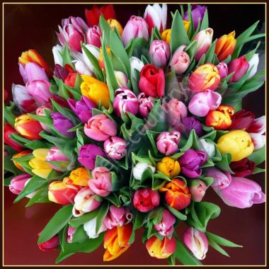 Букет из 49 разноцветных тюльпанов купить с доставкой по Москве