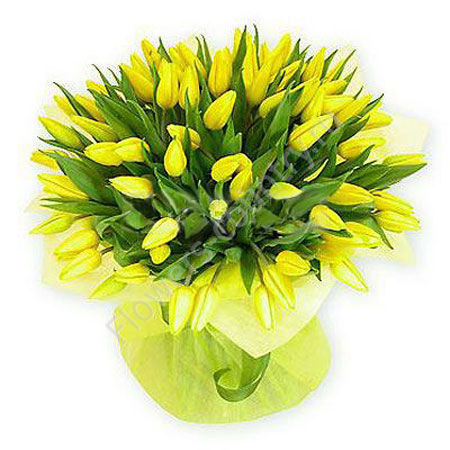 Букет из желтых тюльпанов - 49 шт. купить с доставкой по Москве