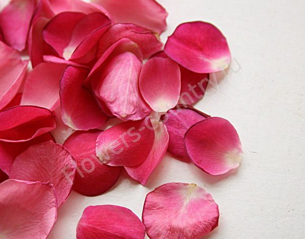 Что можно сделать из лепестков роз